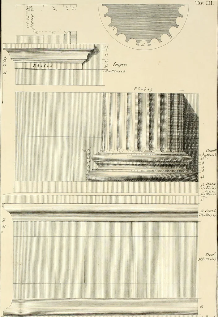 An illustration from Delle antichità di Rimino libri due, 1741, leaf 69