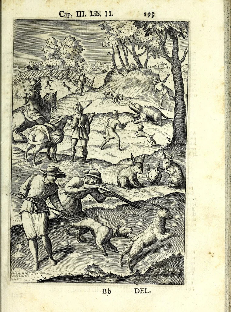 An illustration from Delle caccie di Eugenio Raimondi bresciano libri quattro ; aggiuntoui'n questa nuoua'mpressione altre caccie che sperse in altri libri andauano, 1630, leaf 209