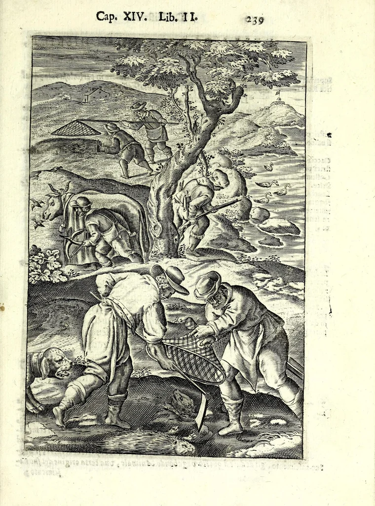An illustration from Delle caccie di Eugenio Raimondi bresciano libri quattro ; aggiuntoui'n questa nuoua'mpressione altre caccie che sperse in altri libri andauano, 1630, leaf 255