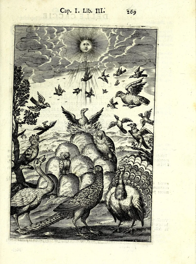 An illustration from Delle caccie di Eugenio Raimondi bresciano libri quattro ; aggiuntoui'n questa nuoua'mpressione altre caccie che sperse in altri libri andauano, 1630, leaf 285