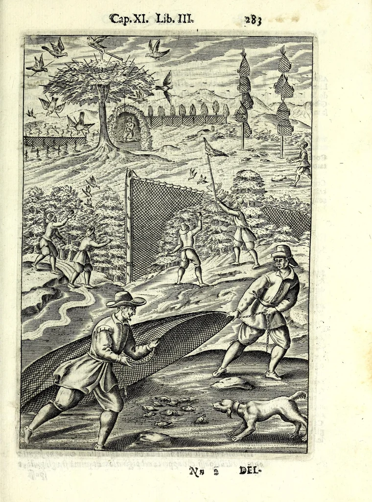 An illustration from Delle caccie di Eugenio Raimondi bresciano libri quattro ; aggiuntoui'n questa nuoua'mpressione altre caccie che sperse in altri libri andauano, 1630, leaf 299