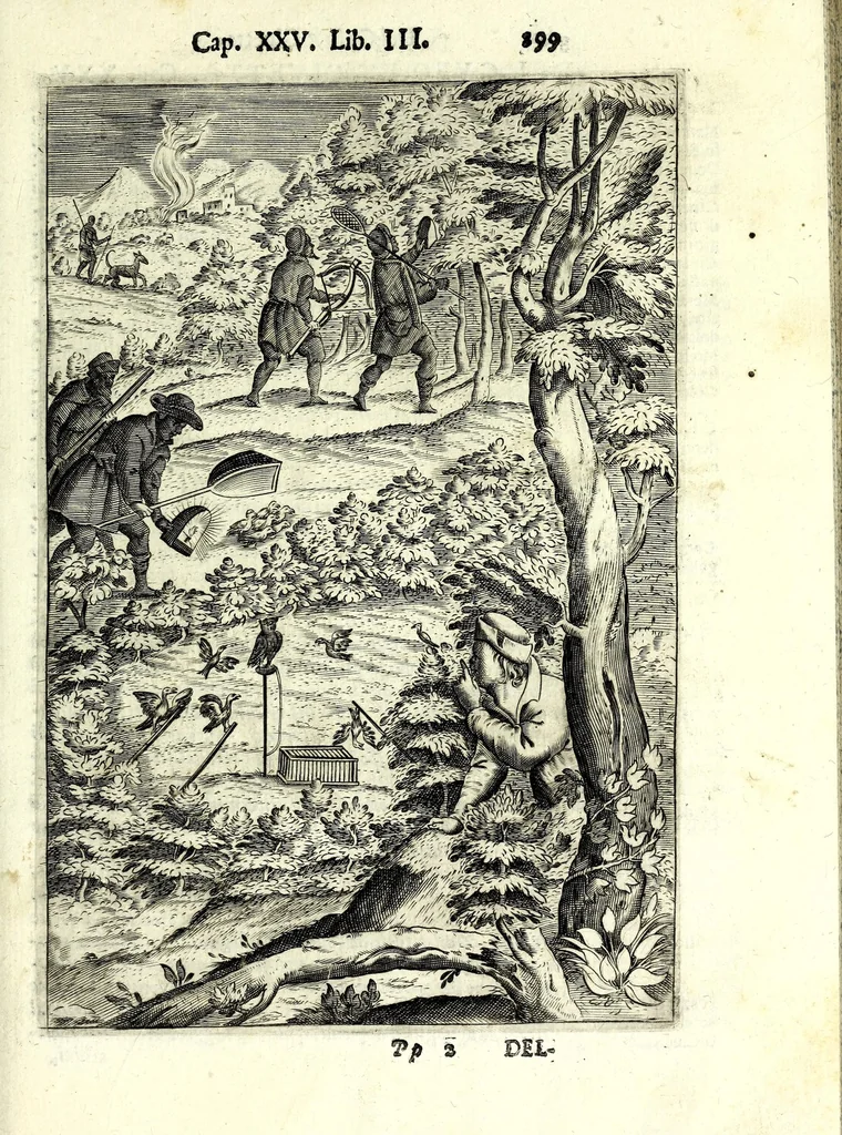 An illustration from Delle caccie di Eugenio Raimondi bresciano libri quattro ; aggiuntoui'n questa nuoua'mpressione altre caccie che sperse in altri libri andauano, 1630, leaf 315