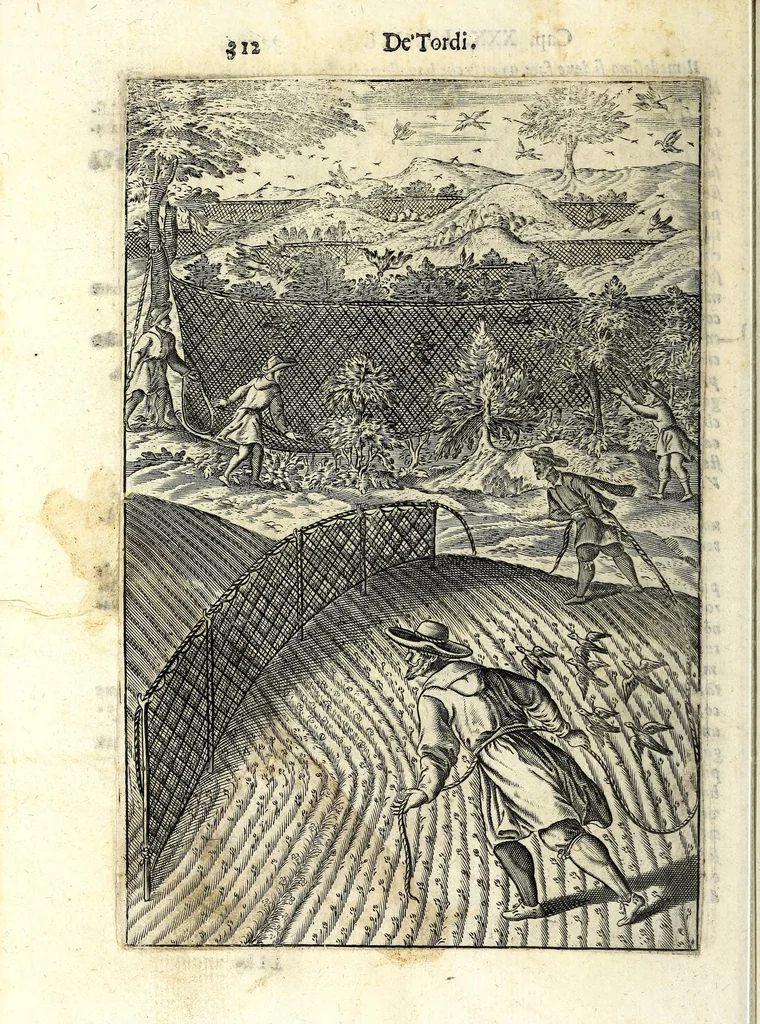 An illustration from Delle caccie di Eugenio Raimondi bresciano libri quattro ; aggiuntoui'n questa nuoua'mpressione altre caccie che sperse in altri libri andauano, 1630, leaf 328