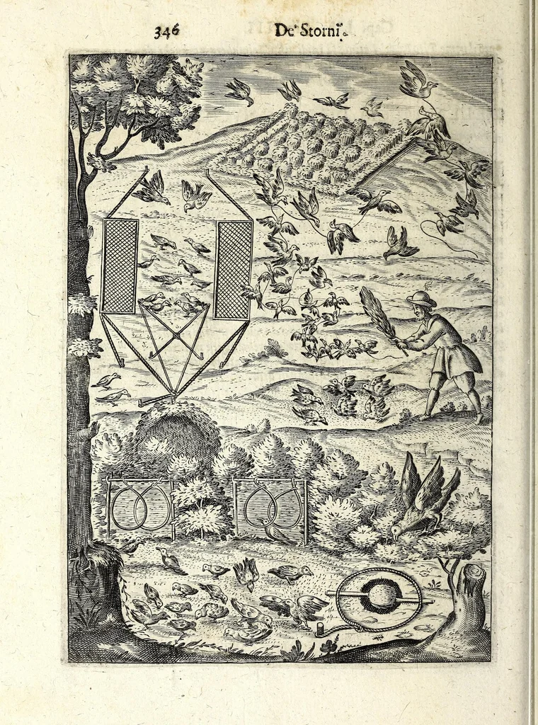 An illustration from Delle caccie di Eugenio Raimondi bresciano libri quattro ; aggiuntoui'n questa nuoua'mpressione altre caccie che sperse in altri libri andauano, 1630, leaf 362