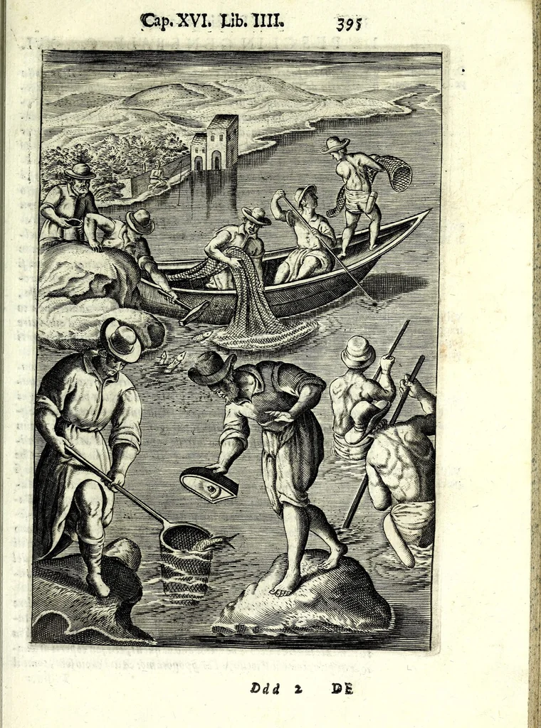 An illustration from Delle caccie di Eugenio Raimondi bresciano libri quattro ; aggiuntoui'n questa nuoua'mpressione altre caccie che sperse in altri libri andauano, 1630, leaf 411