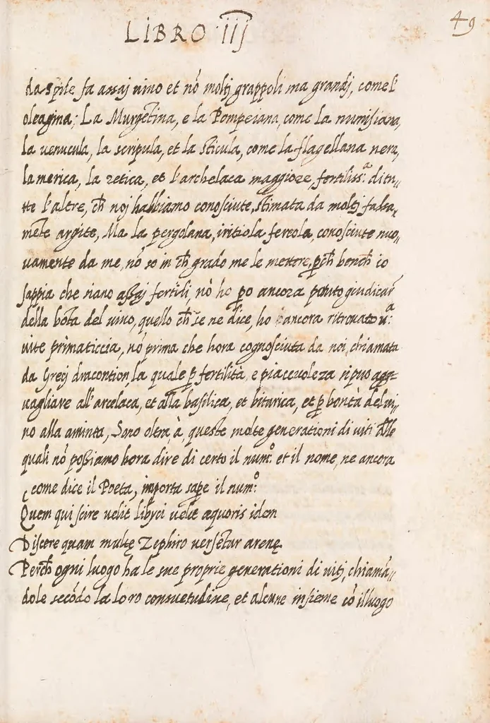 An illustration from Delle cose de la villa libro secondo (-V) ; Libro degl'Abberi, 1700, leaf 115