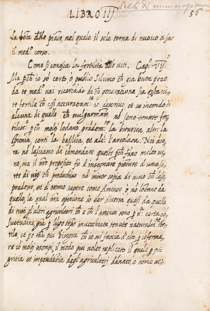 An illustration from Delle cose de la villa libro secondo (-V) ; Libro degl'Abberi, 1700, leaf 127