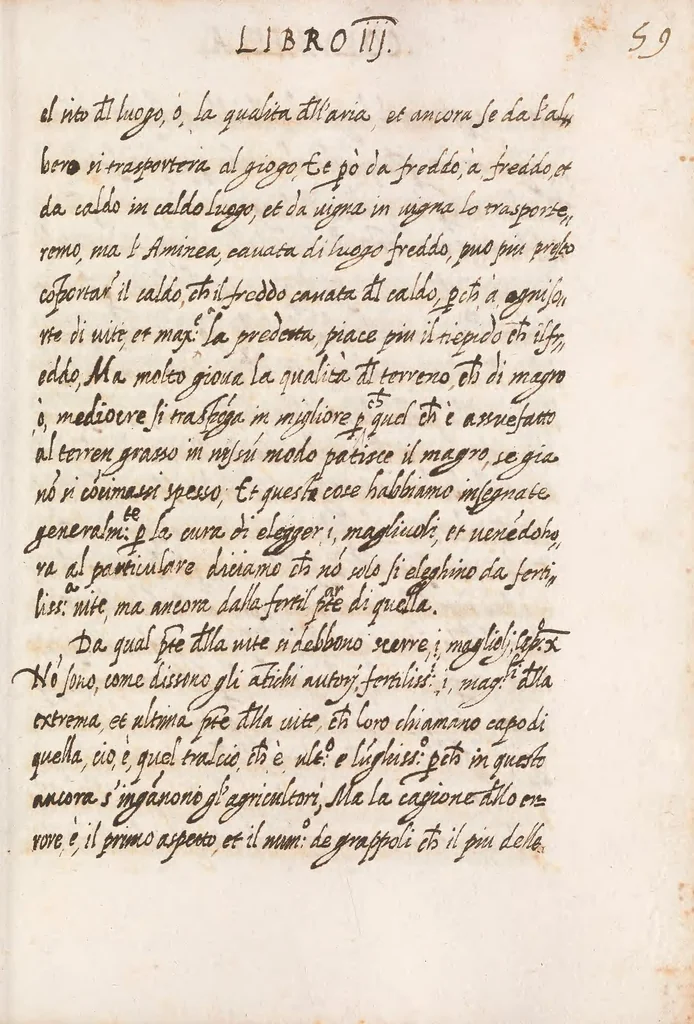 An illustration from Delle cose de la villa libro secondo (-V) ; Libro degl'Abberi, 1700, leaf 133