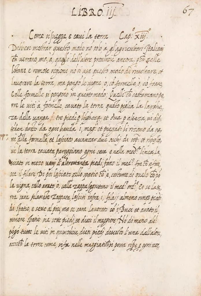 An illustration from Delle cose de la villa libro secondo (-V) ; Libro degl'Abberi, 1700, leaf 149