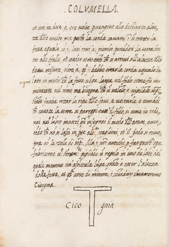 An illustration from Delle cose de la villa libro secondo (-V) ; Libro degl'Abberi, 1700, leaf 152