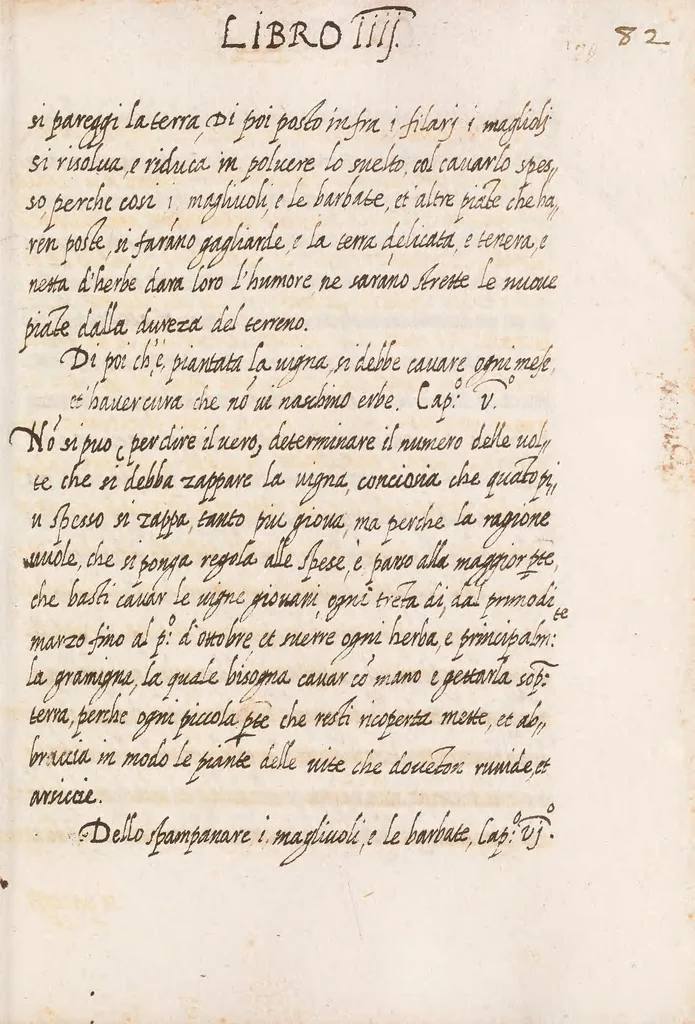 An illustration from Delle cose de la villa libro secondo (-V) ; Libro degl'Abberi, 1700, leaf 179