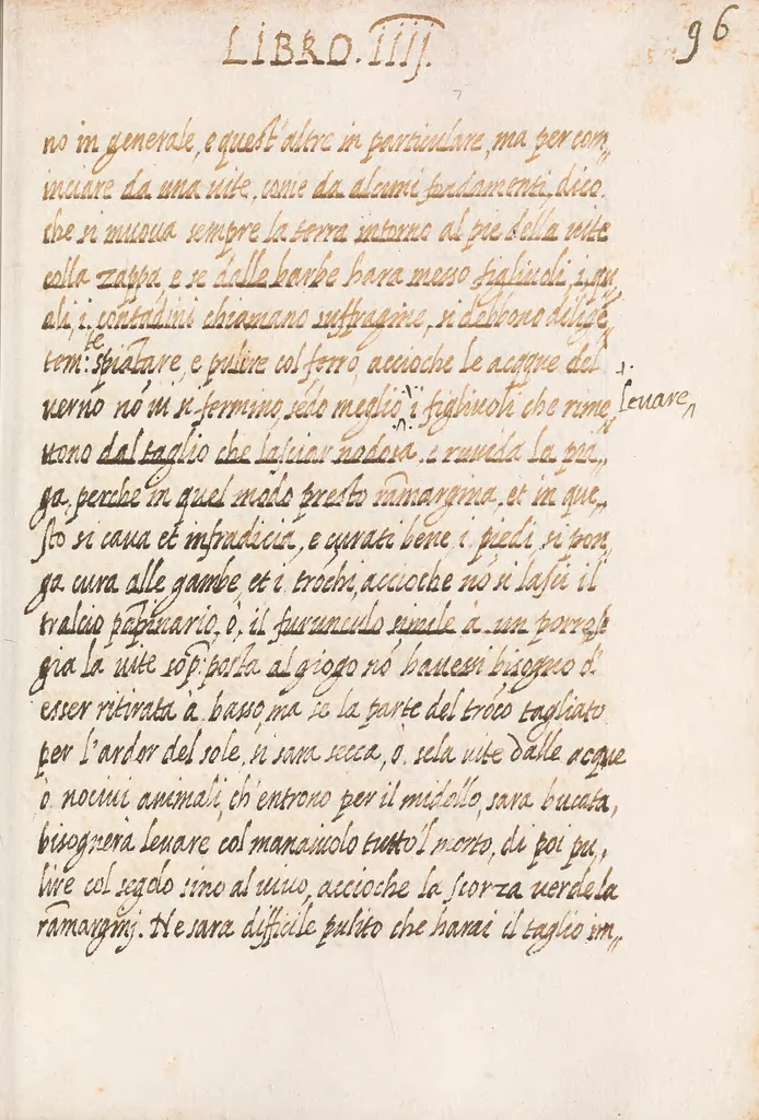 An illustration from Delle cose de la villa libro secondo (-V) ; Libro degl'Abberi, 1700, leaf 207