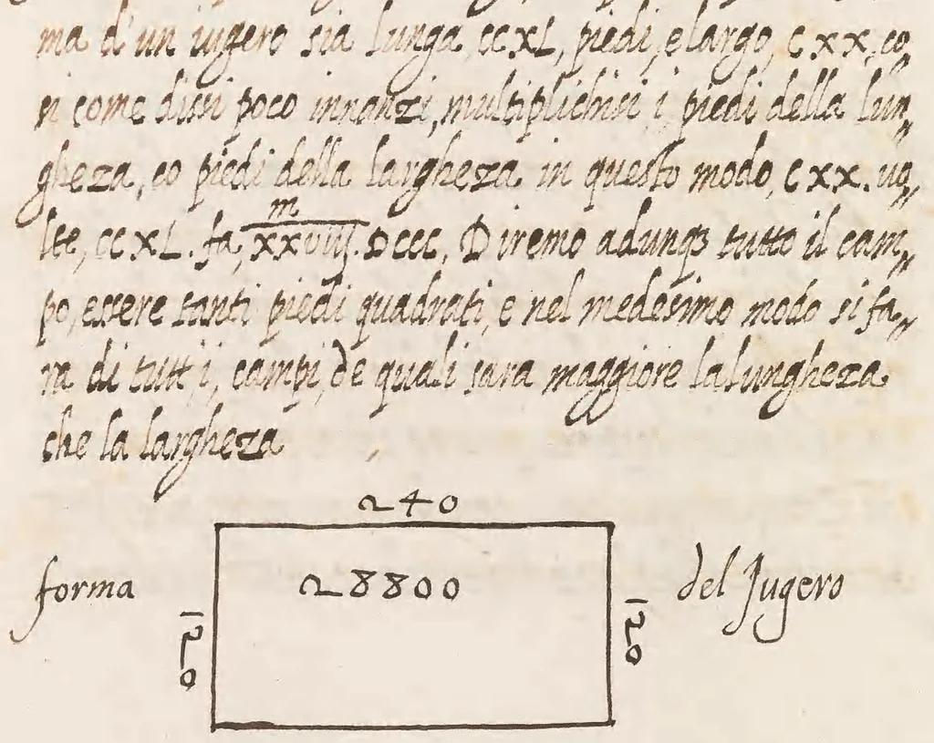 An illustration from Delle cose de la villa libro secondo (-V) ; Libro degl'Abberi, 1700, leaf 246