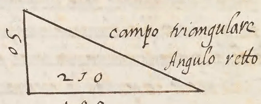 An illustration from Delle cose de la villa libro secondo (-V) ; Libro degl'Abberi, 1700, leaf 248