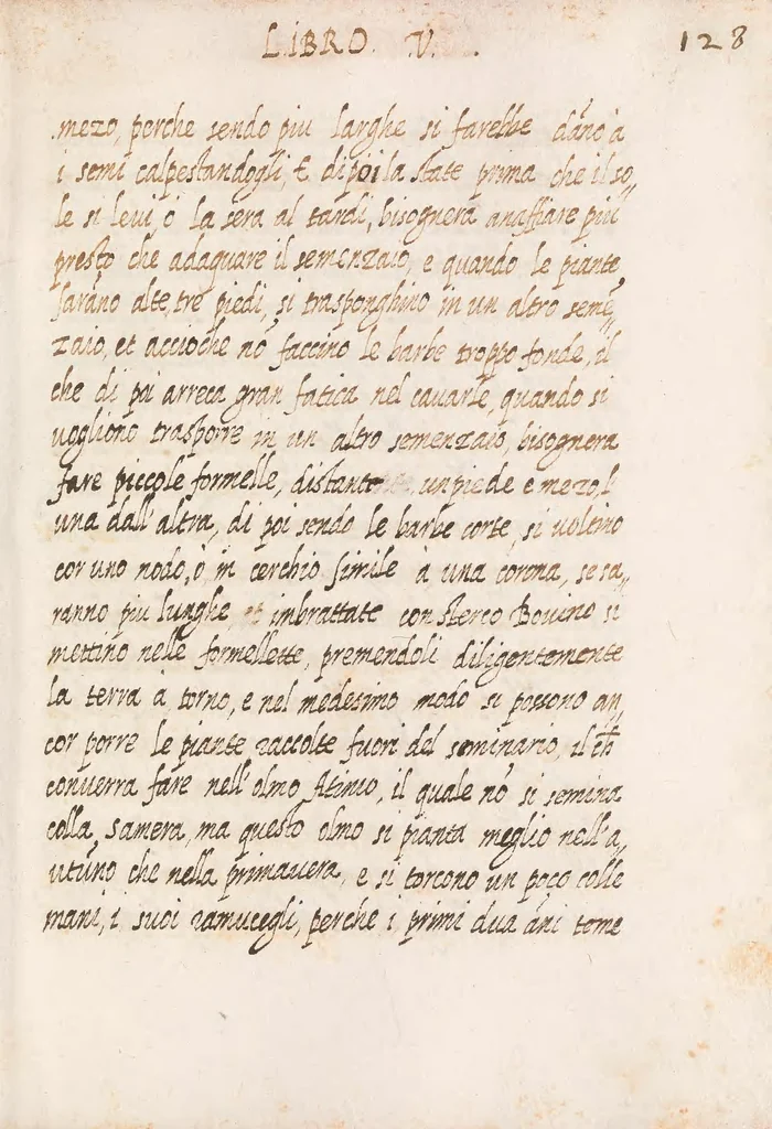 An illustration from Delle cose de la villa libro secondo (-V) ; Libro degl'Abberi, 1700, leaf 271