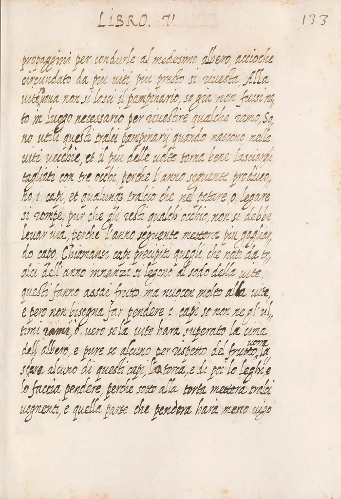 An illustration from Delle cose de la villa libro secondo (-V) ; Libro degl'Abberi, 1700, leaf 281