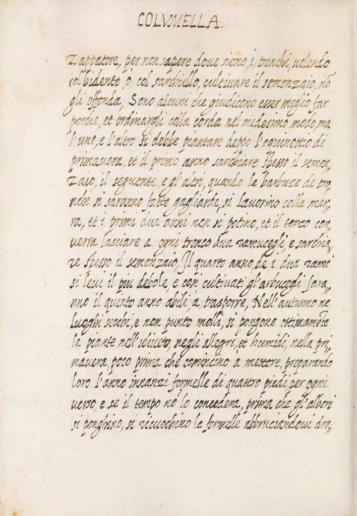 An illustration from Delle cose de la villa libro secondo (-V) ; Libro degl'Abberi, 1700, leaf 290