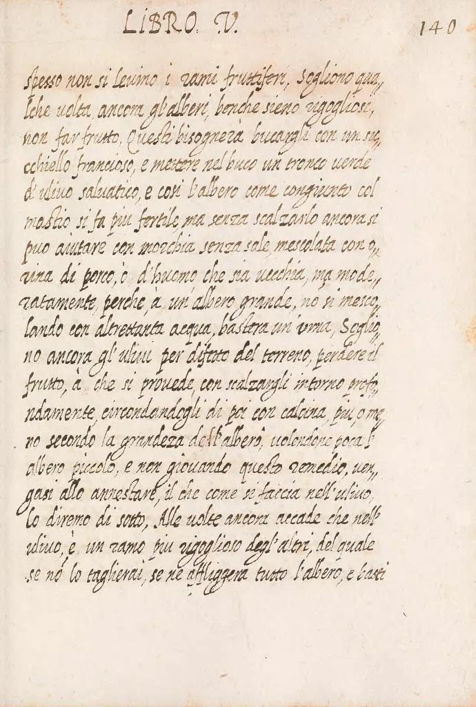 An illustration from Delle cose de la villa libro secondo (-V) ; Libro degl'Abberi, 1700, leaf 295