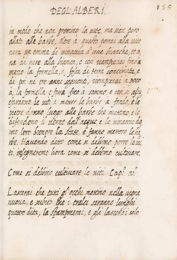 An illustration from Delle cose de la villa libro secondo (-V) ; Libro degl'Abberi, 1700, leaf 325