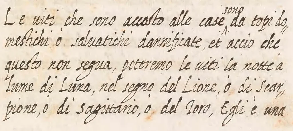 An illustration from Delle cose de la villa libro secondo (-V) ; Libro degl'Abberi, 1700, leaf 345