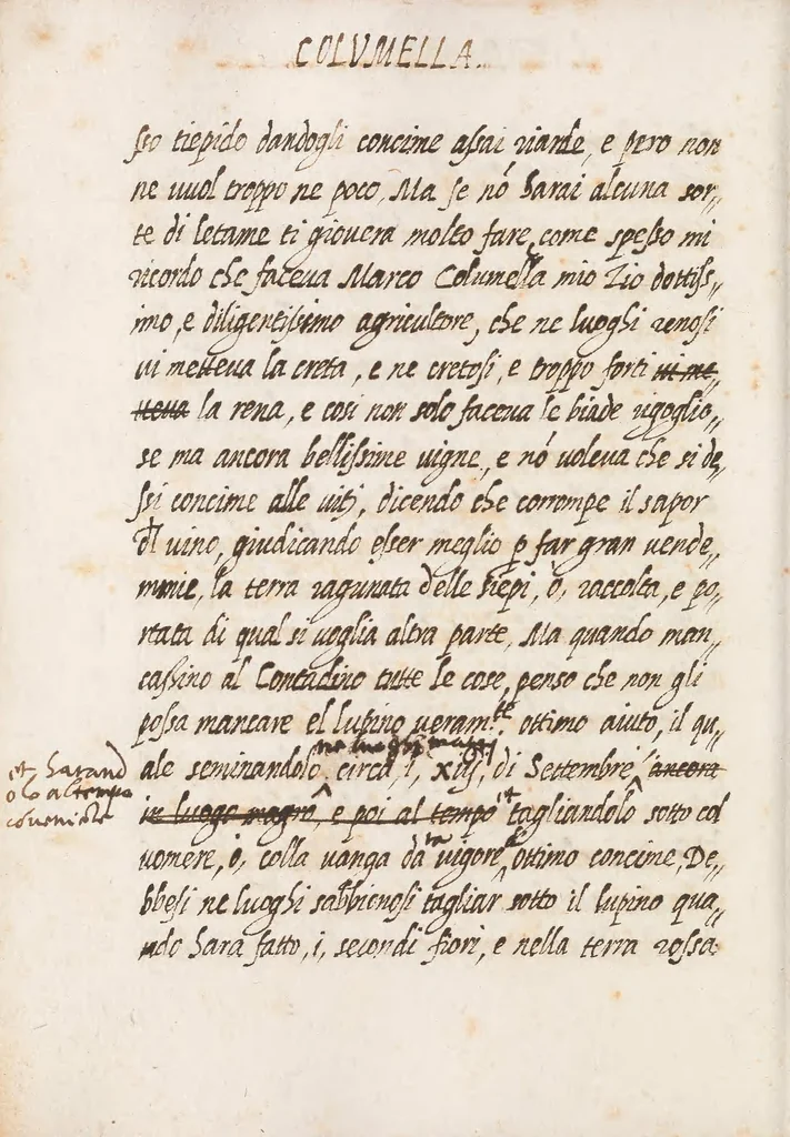 An illustration from Delle cose de la villa libro secondo (-V) ; Libro degl'Abberi, 1700, leaf 88