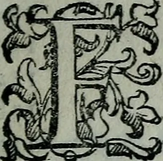 An illustration from Delle cose notabili della città di Venetia libri II : ne' quali amplamente, e con ogni verità si contengono vsanze antiche, habiti & vestiti, officii e magistrati, vittorie illustri, principi & vita loro, tutti patriarchi, senatori famosi, huomini letterati, chiese e monasterij, corpi santi e reliquie, fabriche e palazzi, pittori e pitture, scultori e scolture, auuocati famosi, medici eccellenti, musici di più sorte : con la tauola copiosa, 1587, leaf 10