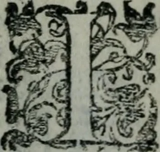 An illustration from Delle cose notabili della città di Venetia libri II : ne' quali amplamente, e con ogni verità si contengono vsanze antiche, habiti & vestiti, officii e magistrati, vittorie illustri, principi & vita loro, tutti patriarchi, senatori famosi, huomini letterati, chiese e monasterij, corpi santi e reliquie, fabriche e palazzi, pittori e pitture, scultori e scolture, auuocati famosi, medici eccellenti, musici di più sorte : con la tauola copiosa, 1587, leaf 11