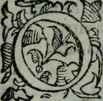 An illustration from Delle cose notabili della città di Venetia libri II : ne' quali amplamente, e con ogni verità si contengono vsanze antiche, habiti & vestiti, officii e magistrati, vittorie illustri, principi & vita loro, tutti patriarchi, senatori famosi, huomini letterati, chiese e monasterij, corpi santi e reliquie, fabriche e palazzi, pittori e pitture, scultori e scolture, auuocati famosi, medici eccellenti, musici di più sorte : con la tauola copiosa, 1587, leaf 13
