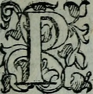 An illustration from Delle cose notabili della città di Venetia libri II : ne' quali amplamente, e con ogni verità si contengono vsanze antiche, habiti & vestiti, officii e magistrati, vittorie illustri, principi & vita loro, tutti patriarchi, senatori famosi, huomini letterati, chiese e monasterij, corpi santi e reliquie, fabriche e palazzi, pittori e pitture, scultori e scolture, auuocati famosi, medici eccellenti, musici di più sorte : con la tauola copiosa, 1587, leaf 14