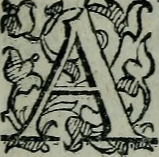 An illustration from Delle cose notabili della città di Venetia libri II : ne' quali amplamente, e con ogni verità si contengono vsanze antiche, habiti & vestiti, officii e magistrati, vittorie illustri, principi & vita loro, tutti patriarchi, senatori famosi, huomini letterati, chiese e monasterij, corpi santi e reliquie, fabriche e palazzi, pittori e pitture, scultori e scolture, auuocati famosi, medici eccellenti, musici di più sorte : con la tauola copiosa, 1587, leaf 6