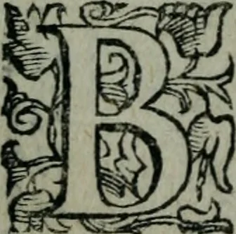 An illustration from Delle cose notabili della città di Venetia libri II : ne' quali amplamente, e con ogni verità si contengono vsanze antiche, habiti & vestiti, officii e magistrati, vittorie illustri, principi & vita loro, tutti patriarchi, senatori famosi, huomini letterati, chiese e monasterij, corpi santi e reliquie, fabriche e palazzi, pittori e pitture, scultori e scolture, auuocati famosi, medici eccellenti, musici di più sorte : con la tauola copiosa, 1587, leaf 7