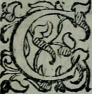 An illustration from Delle cose notabili della città di Venetia libri II : ne' quali amplamente, e con ogni verità si contengono vsanze antiche, habiti & vestiti, officii e magistrati, vittorie illustri, principi & vita loro, tutti patriarchi, senatori famosi, huomini letterati, chiese e monasterij, corpi santi e reliquie, fabriche e palazzi, pittori e pitture, scultori e scolture, auuocati famosi, medici eccellenti, musici di più sorte : con la tauola copiosa, 1587, leaf 8