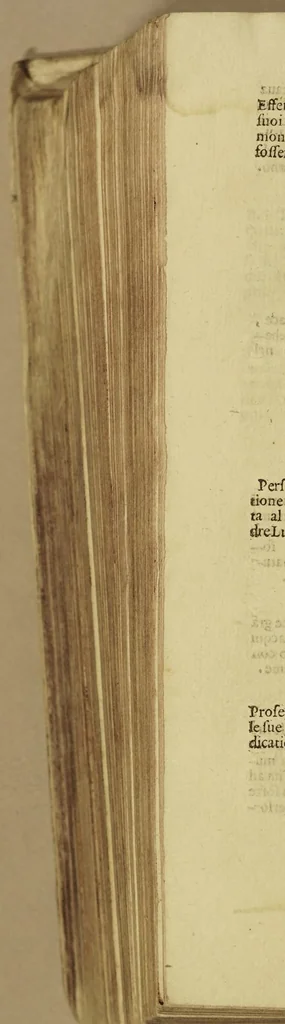 An illustration from Delle croniche dell'Ordine de'frati minori instituto dal serafico p.s. Francesco. Parte quarta. Nuouamente datta in luce, & diuisa in dieci libri. Ne' quali copiosamente si descriuono le vite ammirabili, i martirii crudeli... di ottocento e più religiosi, serui, & serue di Dio, della istessa religion serafica. Et si racconta la nuoua riforma, & la continua osseruanza nell'Ordine; & il grande accrescimento della fede catolica, fatto da essi, sì ne'regni di Spagna, di Portogallo, e nelle Indie Orientali, & Occidentali... dall'anno 1500. sino à questi tempi., 1608, leaf 1204