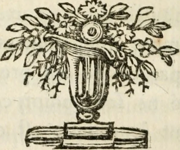 An illustration from De l'électricité du corps humain dans l'état de santé et de maladie, 1780, leaf 365