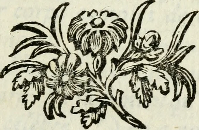 An illustration from De l'électricité du corps humain dans l'état de santé et de maladie, 1780, leaf 6