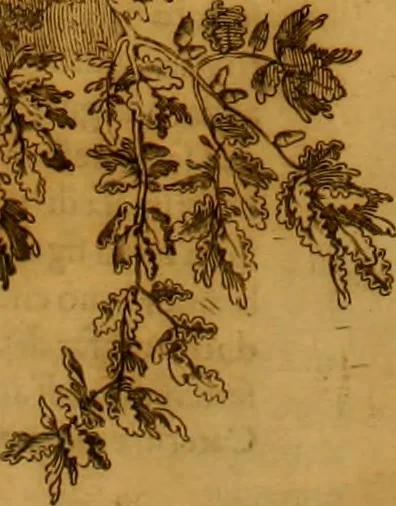 An illustration from Delle famiglie nobili Napoletane, 1580, leaf 400