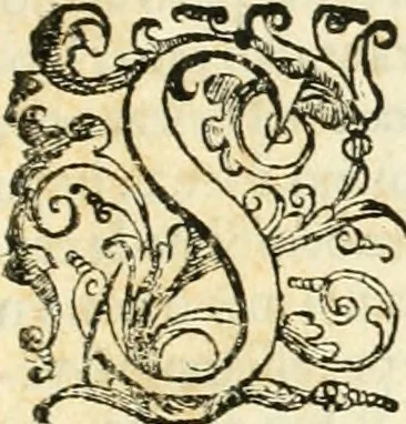 An illustration from Delle fortificationi di Bvonaivto Lorini, nobile fiorentino, libri cinque : ne' qvali si mostra con le piv facili regole la scienza con la pratica, di fortificare le citta & altri luoghi sopra diuersi siti, con tvtti gli avvertimenti, che per intelligenza di tal materia possono occorrere .., 1597, leaf 124