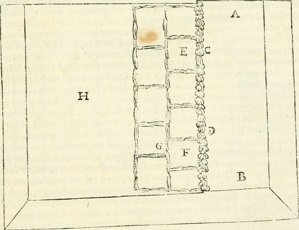 An illustration from Delle fortificationi di Bvonaivto Lorini, nobile fiorentino, libri cinque : ne' qvali si mostra con le piv facili regole la scienza con la pratica, di fortificare le citta & altri luoghi sopra diuersi siti, con tvtti gli avvertimenti, che per intelligenza di tal materia possono occorrere .., 1597, leaf 134