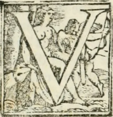 An illustration from Delle fortificationi di Bvonaivto Lorini, nobile fiorentino, libri cinque : ne' qvali si mostra con le piv facili regole la scienza con la pratica, di fortificare le citta & altri luoghi sopra diuersi siti, con tvtti gli avvertimenti, che per intelligenza di tal materia possono occorrere .., 1597, leaf 145