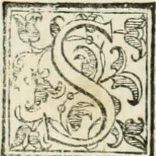 An illustration from Delle fortificationi di Bvonaivto Lorini, nobile fiorentino, libri cinque : ne' qvali si mostra con le piv facili regole la scienza con la pratica, di fortificare le citta & altri luoghi sopra diuersi siti, con tvtti gli avvertimenti, che per intelligenza di tal materia possono occorrere .., 1597, leaf 163
