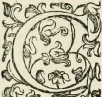 An illustration from Delle fortificationi di Bvonaivto Lorini, nobile fiorentino, libri cinque : ne' qvali si mostra con le piv facili regole la scienza con la pratica, di fortificare le citta & altri luoghi sopra diuersi siti, con tvtti gli avvertimenti, che per intelligenza di tal materia possono occorrere .., 1597, leaf 167