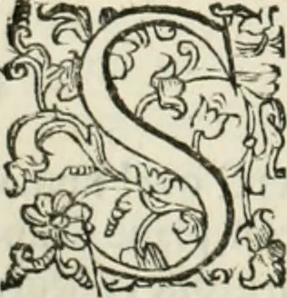 An illustration from Delle fortificationi di Bvonaivto Lorini, nobile fiorentino, libri cinque : ne' qvali si mostra con le piv facili regole la scienza con la pratica, di fortificare le citta & altri luoghi sopra diuersi siti, con tvtti gli avvertimenti, che per intelligenza di tal materia possono occorrere .., 1597, leaf 169