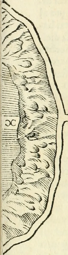 An illustration from Delle fortificationi di Bvonaivto Lorini, nobile fiorentino, libri cinque : ne' qvali si mostra con le piv facili regole la scienza con la pratica, di fortificare le citta & altri luoghi sopra diuersi siti, con tvtti gli avvertimenti, che per intelligenza di tal materia possono occorrere .., 1597, leaf 174