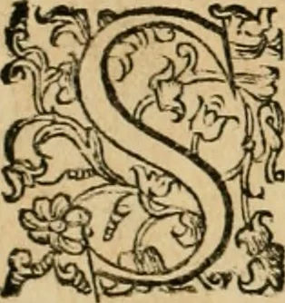 An illustration from Delle fortificationi di Bvonaivto Lorini, nobile fiorentino, libri cinque : ne' qvali si mostra con le piv facili regole la scienza con la pratica, di fortificare le citta & altri luoghi sopra diuersi siti, con tvtti gli avvertimenti, che per intelligenza di tal materia possono occorrere .., 1597, leaf 179