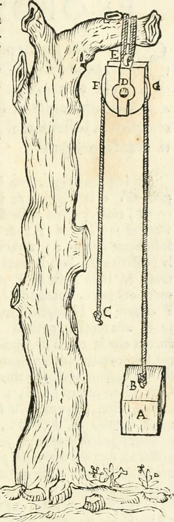 An illustration from Delle fortificationi di Bvonaivto Lorini, nobile fiorentino, libri cinque : ne' qvali si mostra con le piv facili regole la scienza con la pratica, di fortificare le citta & altri luoghi sopra diuersi siti, con tvtti gli avvertimenti, che per intelligenza di tal materia possono occorrere .., 1597, leaf 194