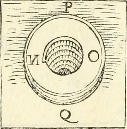 An illustration from Delle fortificationi di Bvonaivto Lorini, nobile fiorentino, libri cinque : ne' qvali si mostra con le piv facili regole la scienza con la pratica, di fortificare le citta & altri luoghi sopra diuersi siti, con tvtti gli avvertimenti, che per intelligenza di tal materia possono occorrere .., 1597, leaf 202