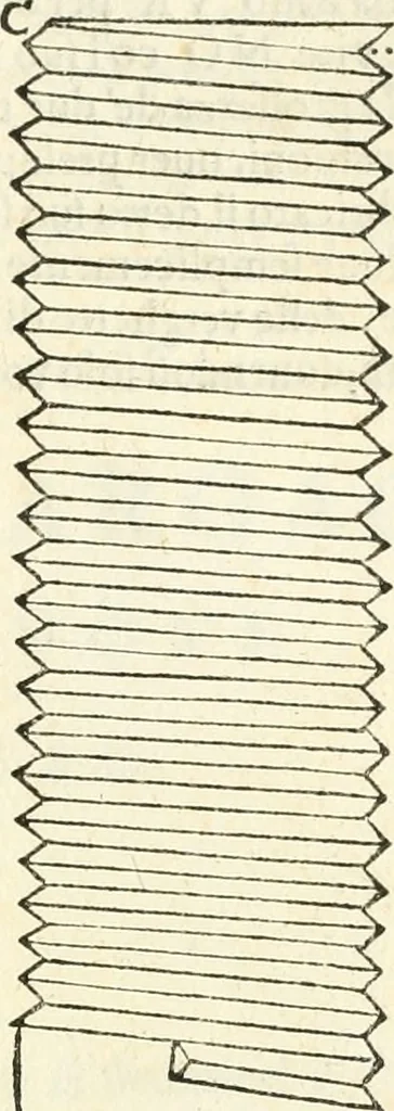 An illustration from Delle fortificationi di Bvonaivto Lorini, nobile fiorentino, libri cinque : ne' qvali si mostra con le piv facili regole la scienza con la pratica, di fortificare le citta & altri luoghi sopra diuersi siti, con tvtti gli avvertimenti, che per intelligenza di tal materia possono occorrere .., 1597, leaf 202