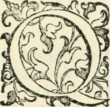 An illustration from Delle fortificationi di Bvonaivto Lorini, nobile fiorentino, libri cinque : ne' qvali si mostra con le piv facili regole la scienza con la pratica, di fortificare le citta & altri luoghi sopra diuersi siti, con tvtti gli avvertimenti, che per intelligenza di tal materia possono occorrere .., 1597, leaf 206
