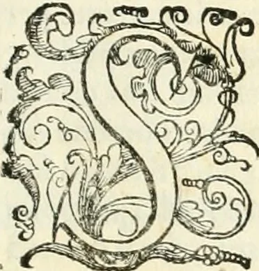 An illustration from Delle fortificationi di Bvonaivto Lorini, nobile fiorentino, libri cinque : ne' qvali si mostra con le piv facili regole la scienza con la pratica, di fortificare le citta & altri luoghi sopra diuersi siti, con tvtti gli avvertimenti, che per intelligenza di tal materia possono occorrere .., 1597, leaf 210