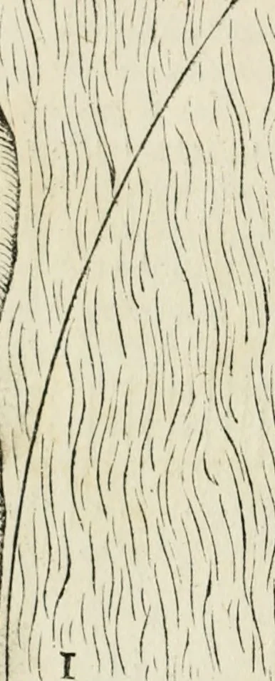 An illustration from Delle fortificationi di Bvonaivto Lorini, nobile fiorentino, libri cinque : ne' qvali si mostra con le piv facili regole la scienza con la pratica, di fortificare le citta & altri luoghi sopra diuersi siti, con tvtti gli avvertimenti, che per intelligenza di tal materia possono occorrere .., 1597, leaf 233